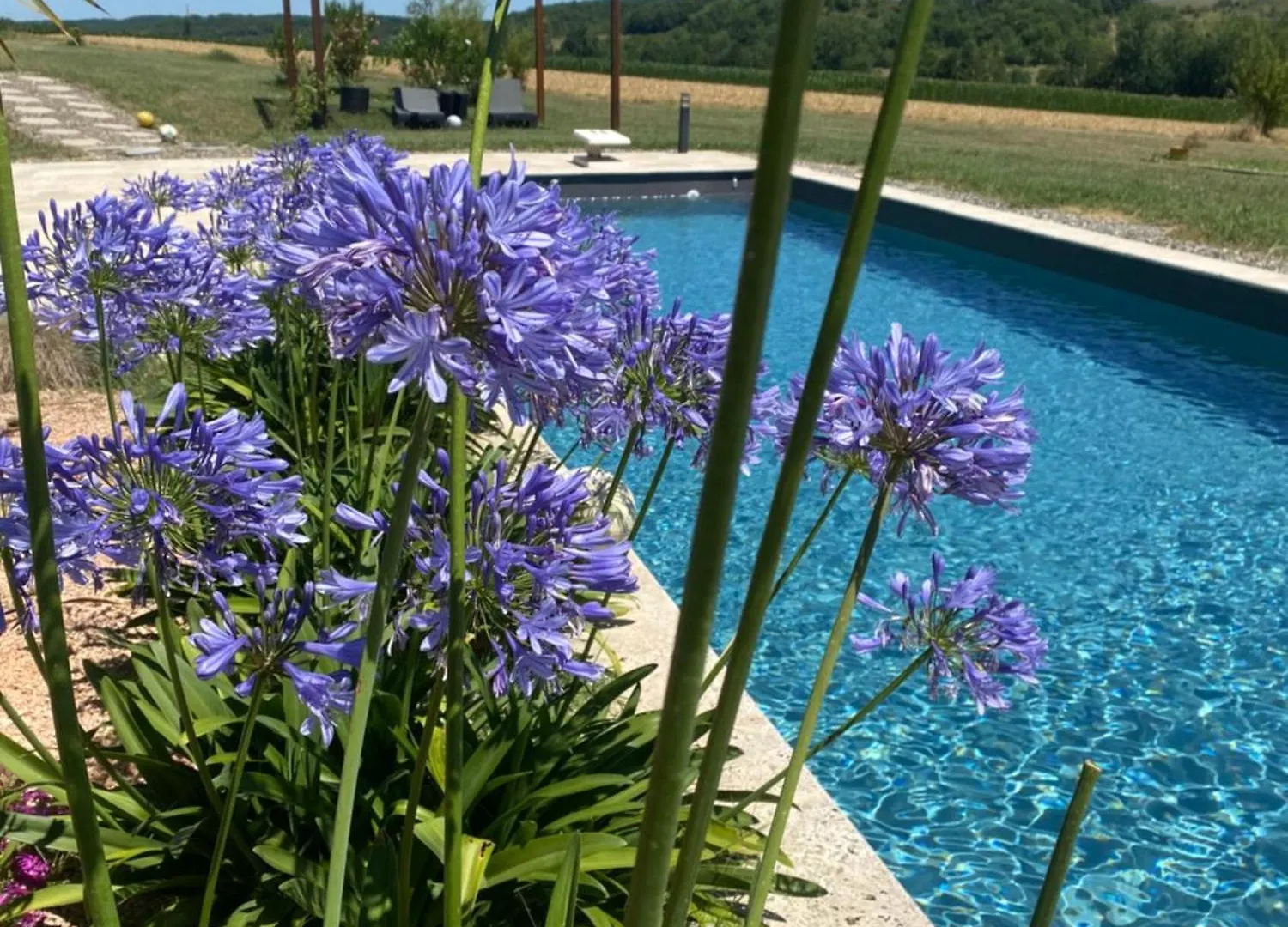 Le Clos Du Broca Clermont-Pouyguilles